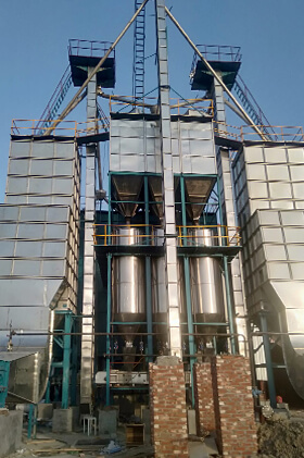 Paddy Parboiling Plant