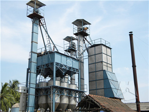 10t_small_parboiled_rice_plant