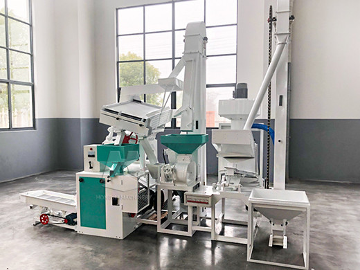 15t_automatic_rice_mill_plant_supplier