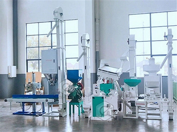 15t_rice_mill_cote_dlvoire (2)