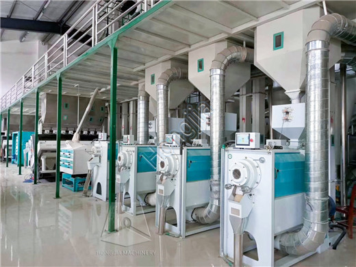 200ton_rice_mill_equipment_manufacturer