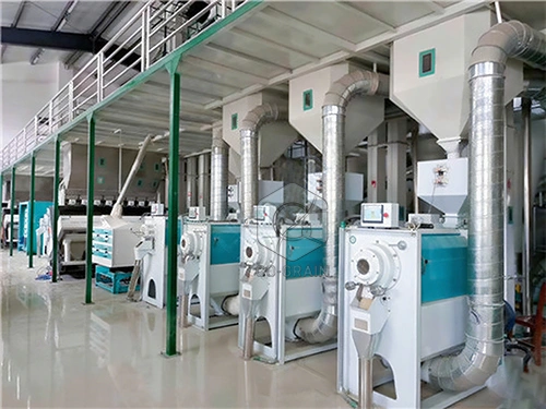 200ton_rice_mill_equipment_manufacturer