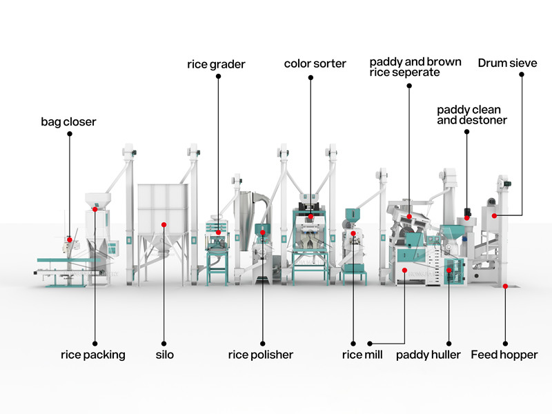 20ton_rice_processing_line_structure