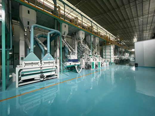 300t_rice_mill_equipment_price