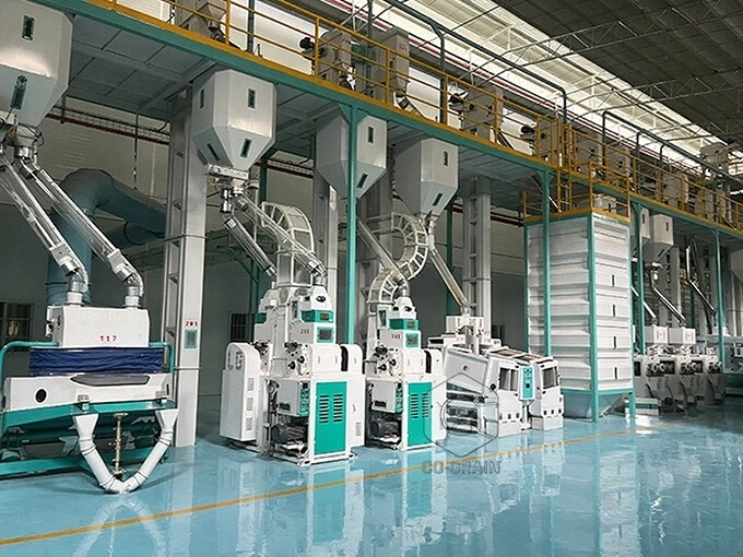 300t_rice_mill_equipments_price