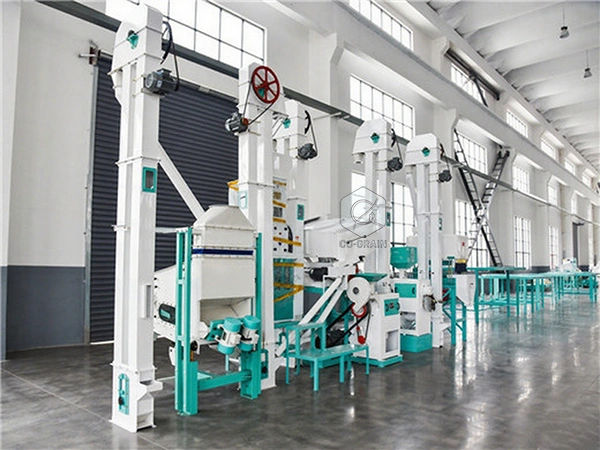 30t_automatic_rice_mills_cost