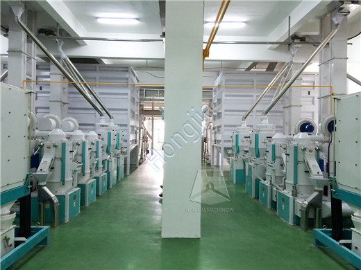 500t_rice_mill_plant_price