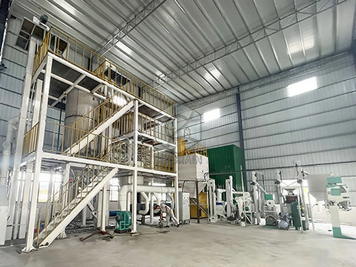 5t_small_parboiled_rice_plant