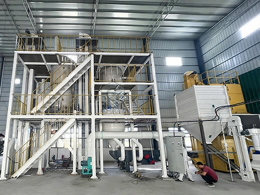 5t_small_parboiled_rice_plant_price