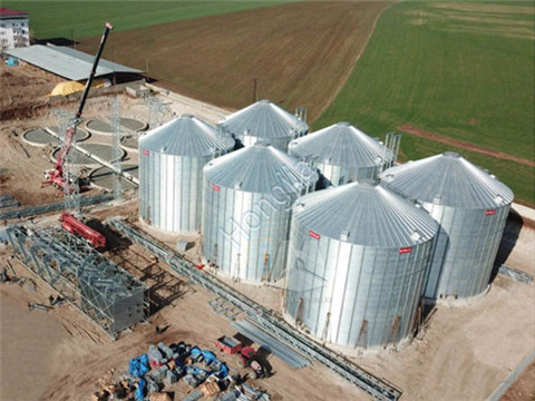 Flat_Bottom_Grain_Silo (11)