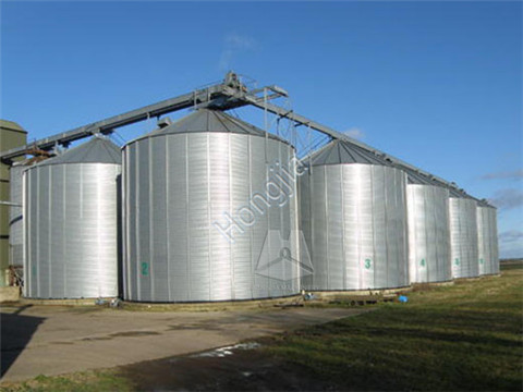 Flat_Bottom_Grain_Silo (13)