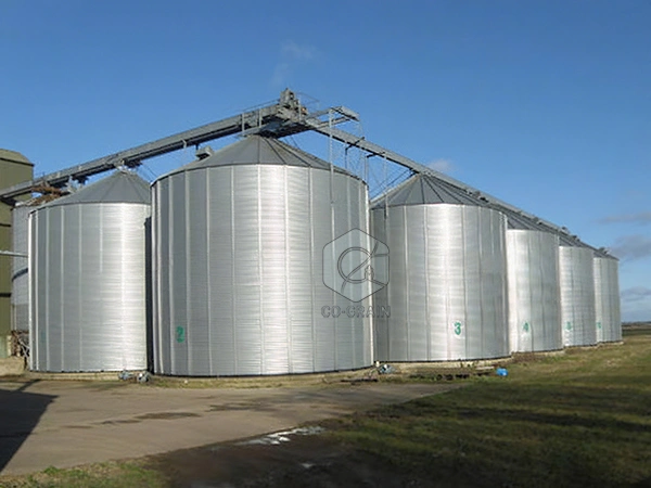 Flat_Bottom_Grain_Silo (13)
