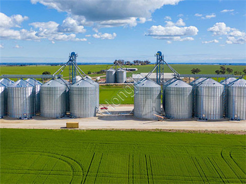 Flat_Bottom_Grain_Silo_for_sale