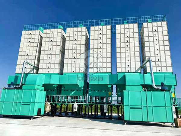 grain_dries_supplier