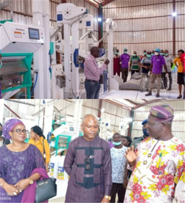 25T_rice_mill_machinery_in_Nigeria