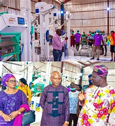 25T_rice_mill_machinery_in_Nigeria