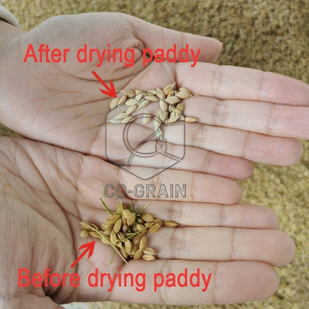 grain_dryer