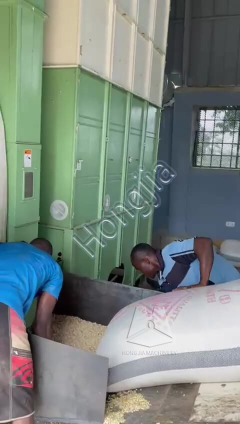 grain_dryer_in_ghana