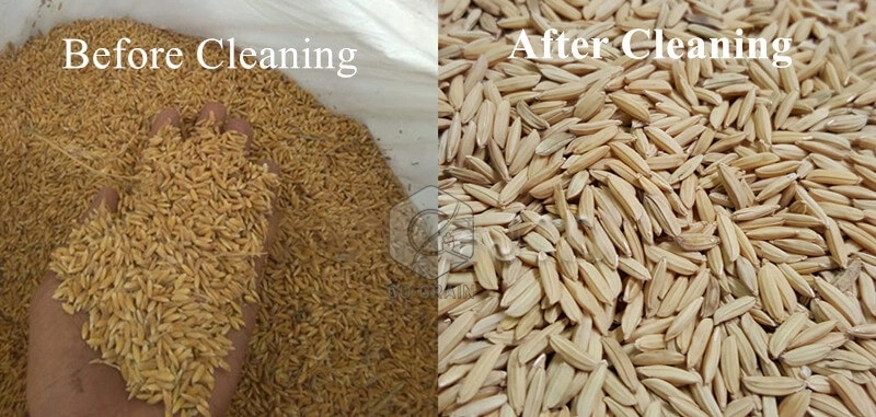 paddy_cleaning_machines_cost