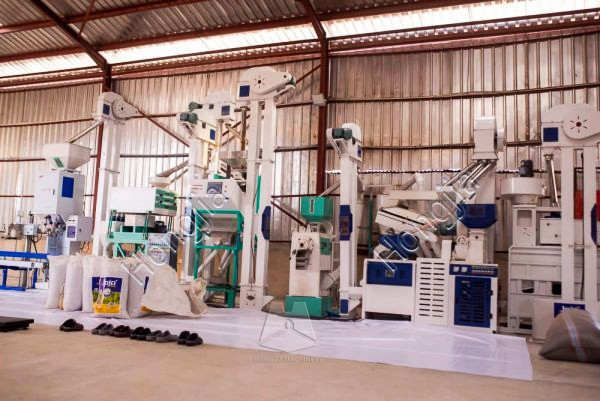 rice mill business plan in nigeria