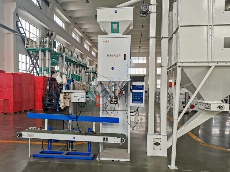 rice_packing_machine_price