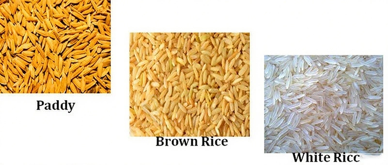 rice_parboiling_machine_for_sale