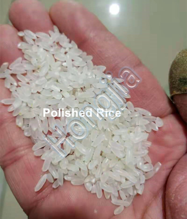 rice_polisher