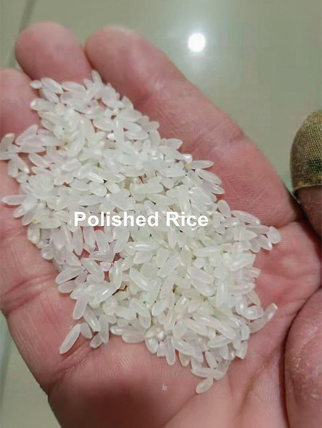rice_polisher