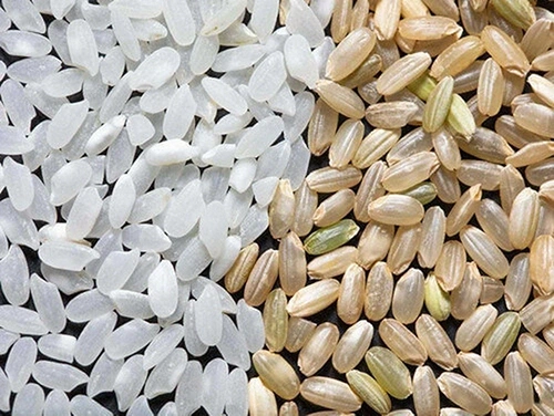 rice_polisher_price