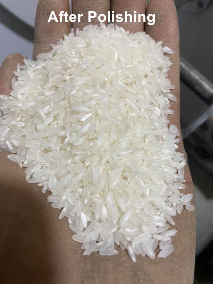 rice_polishier_in_rice_mill (1)