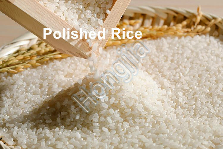 rice_polishing_machine_supplier