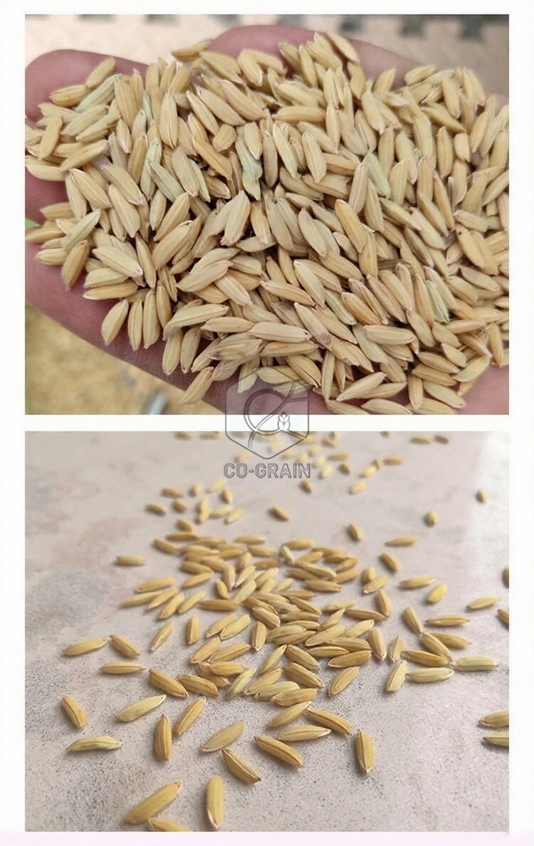 rice_processing_mill_cost