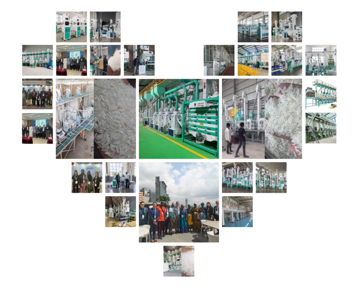 hongjia_rice_mill_in_the_world