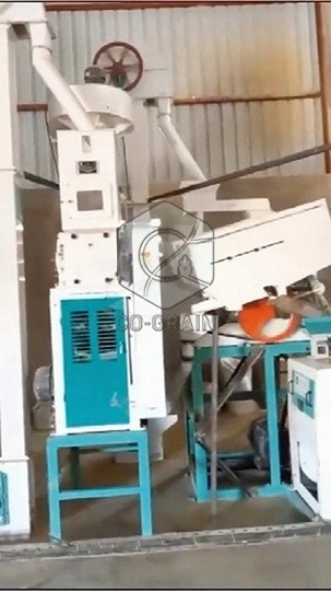 30TD_Rice_Mill_Machine_in_Malawi (5)