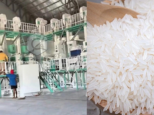 60t_rice_mill_in_philippines (3)