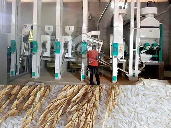 rice_mill_in_zambia (1)