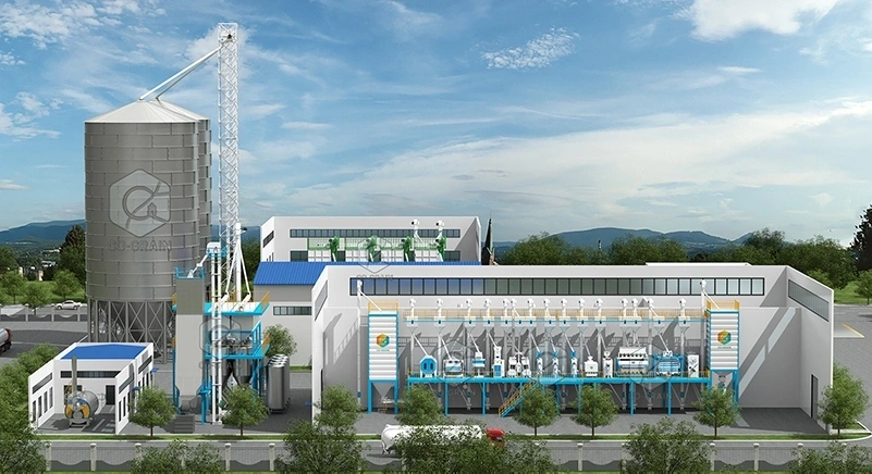 100ton_per_day_turnkey_rice_processing_plants 4