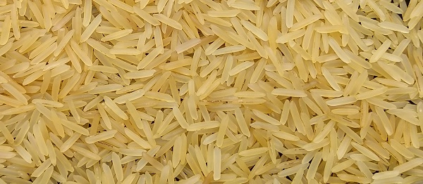 Parboiled_Rice_Processing_Plant_in_Nigeria 3