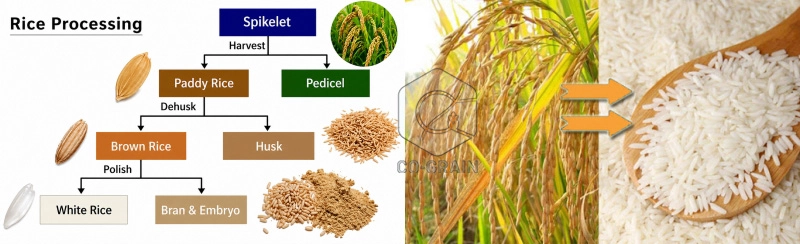 rice_mill_plant_solution 3