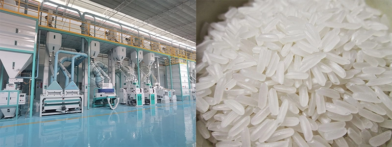 start_rice_mill_plant