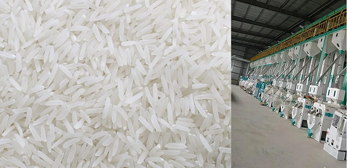 rice_mill_plant 5
